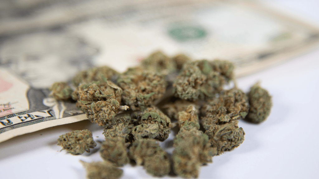 Points, Cash Back, or Prepaid Credits: What Cannabis Shoppers Really Want in 2025